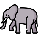 Wildlife Safaris