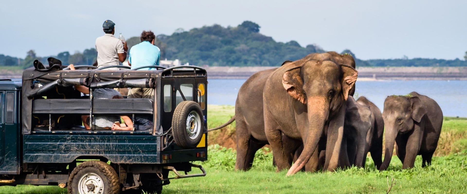 Yala National Park