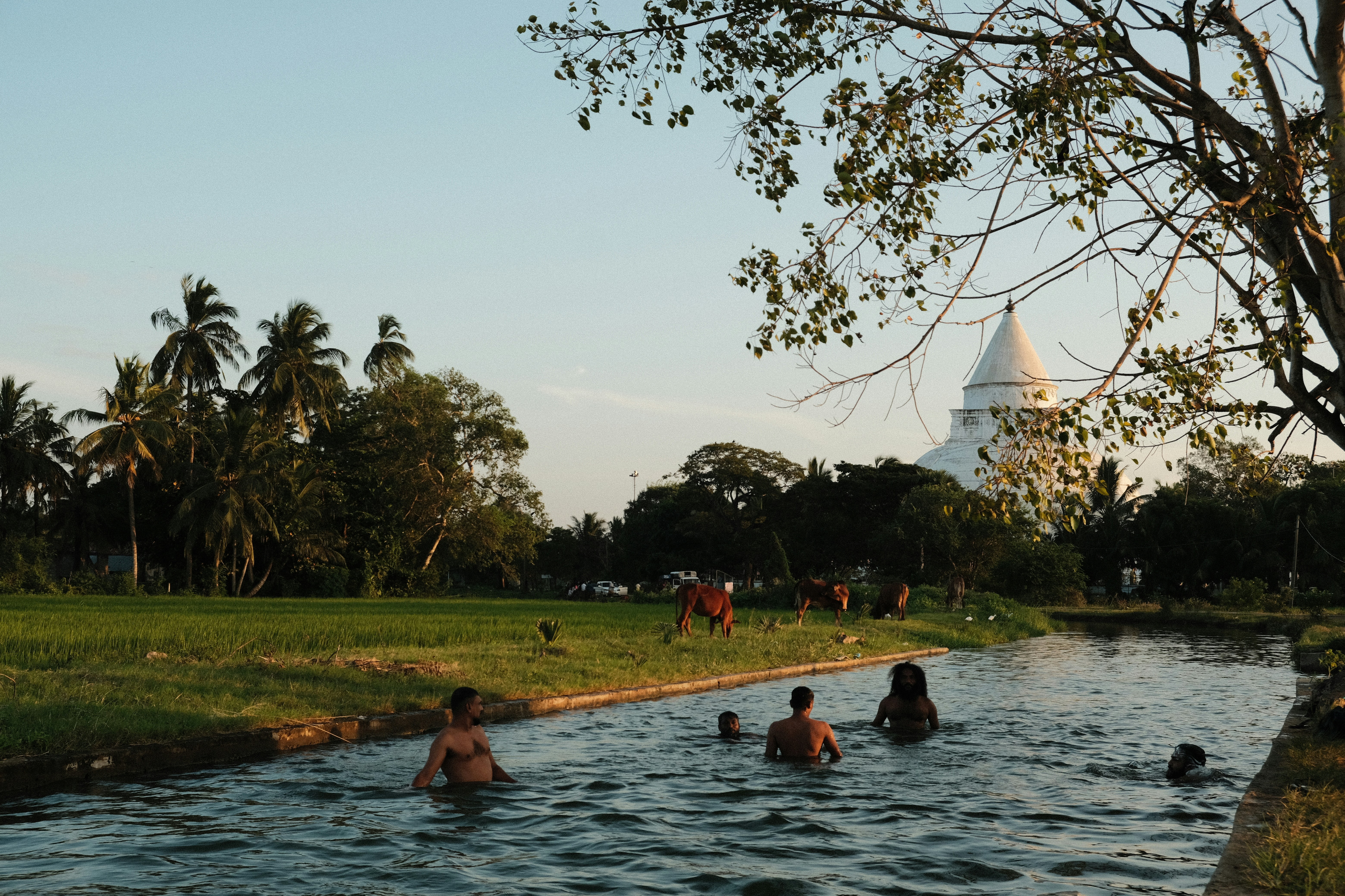 Anuradhapura